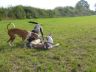 mal ein Stueck Bein probieren