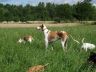 DSC01042.jpg