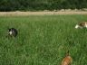 DSC01046.jpg