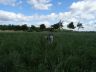 DSC01063.jpg