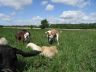DSC01073.jpg