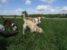 DSC01075.jpg