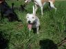 DSC01084.jpg