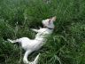 DSC01092.jpg