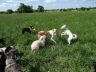 DSC01098.jpg
