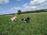 DSC01110.jpg