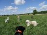DSC01114.jpg
