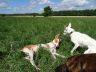 DSC01118.jpg