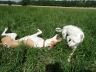 DSC01125.jpg