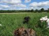 DSC01136.jpg