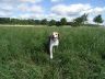 DSC01142.jpg