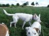 DSC01147.jpg
