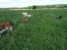DSC01149.jpg