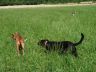 DSC01159.jpg