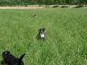 DSC01162.jpg
