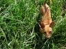 DSC01173.jpg
