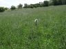 DSC01177.jpg