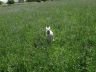 DSC01178.jpg