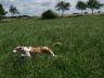 DSC01184.jpg