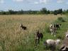 DSC01213.jpg