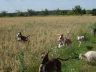 DSC01214.jpg