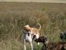 DSC01218.jpg