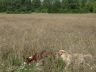 DSC01243.jpg