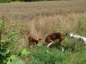 DSC01258.jpg