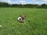 DSC01269.jpg