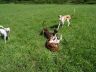 DSC01273.jpg