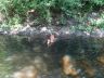 DSC01292.jpg