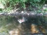 DSC01295.jpg