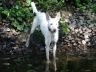 DSC01307.jpg