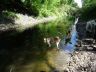 DSC01310.jpg