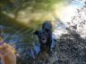 DSC01316.jpg
