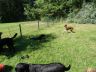 DSC00530.jpg
