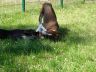 DSC00532.jpg