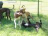 DSC00536.jpg