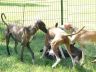 DSC00540.jpg