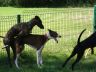 DSC00542.jpg
