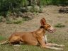 DSC00547.jpg
