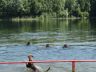 DSC00562.jpg