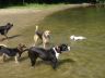 DSC00595.jpg