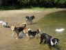 DSC00597.jpg