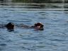 DSC00626.jpg