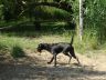 DSC00643.jpg