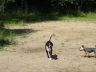 DSC00647.jpg