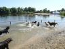 DSC00657.jpg