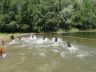 DSC00667.jpg