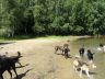 DSC00677.jpg